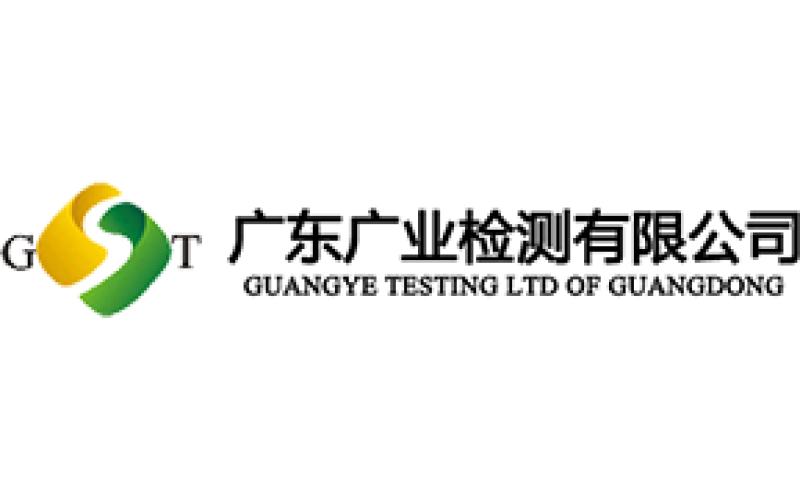 廣東廣業(yè)檢測有限公司視頻監(jiān)控工程